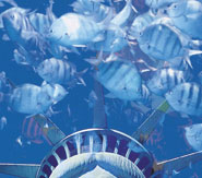 We’re All Going to Drown