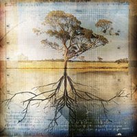 The First Law of Thermodynamics