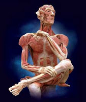 Body Worlds 2