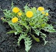 E-Ching for the Day: