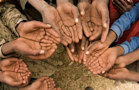 Choosing Where Your Taxes Go