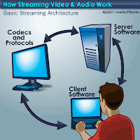 Netflix, the Library and the Death of the Entertainment Industry