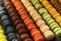 Sophisticated Garbage