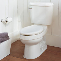 Keeping the Toilet Seat AND Lid Down