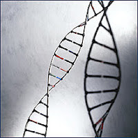 The Superiority of Genetic Hotness