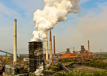 Are Big Businesses Doing Enough To Save The Planet?