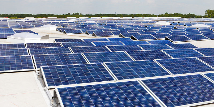 What You Can Do To Save The World!