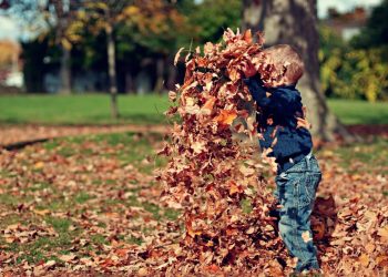 The Role Of Exploration In Your Child’s Education