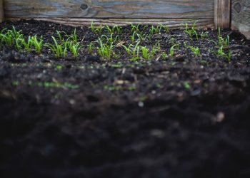 Hobbies That Can Do More Than Just Pass The Time