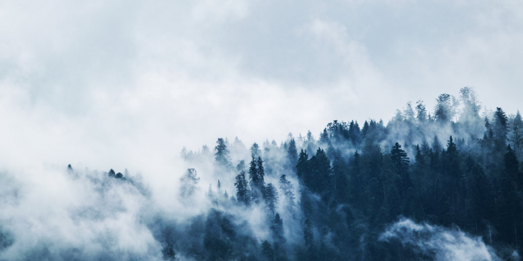 How To Make Winter Fun Again